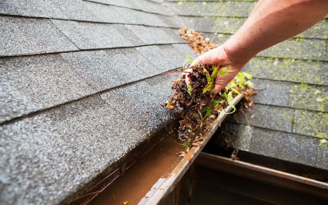 Gutter Repair and Cleaning. Secrets Your House is Trying to Tell You.